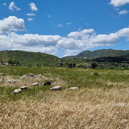 Lägenhet Casa Olive San Vito (Sardinia)